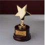 Награда "Звезда" на деревянном постаменте с гравировкой 